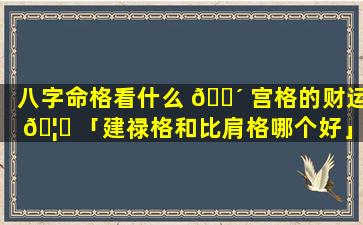 八字命格看什么 🌴 宫格的财运 🦋 「建禄格和比肩格哪个好」